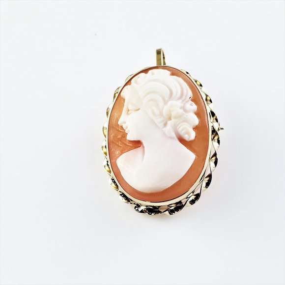 Vintage 14 Karat Yellow Gold Cameo Brooch/Pendant #8500